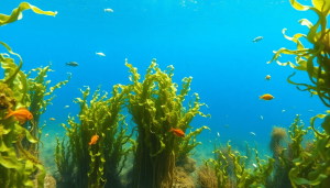 A vibrant underwater scene of a seaweed farm with lush Eucheuma cottonii plants, colorful fish, and diverse plankton in clear blue waters, highlighting a rich ecosystem.