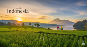Investment in Indonesia